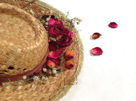 Memories of roseの素材