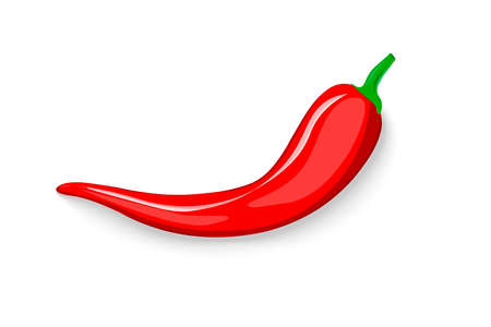 Red hot chili pepper with shadow isolated on white background. Fresh pepper, an ingredient in Mexican cuisine, gives a pungent taste, fiery breath, burning sensation. Template for banner .Vector imageのイラスト素材
