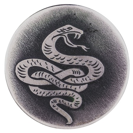 The snake - a symbol of wisdom and vitality, the guardian of life and health.の写真素材