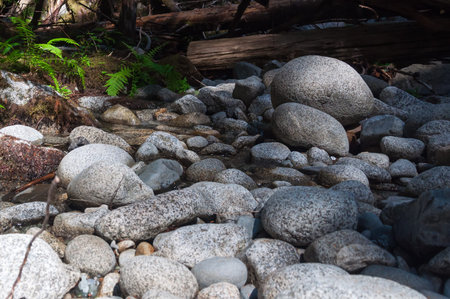 Photo of Tye River bottom in the Deception Falls area (WA, USA).