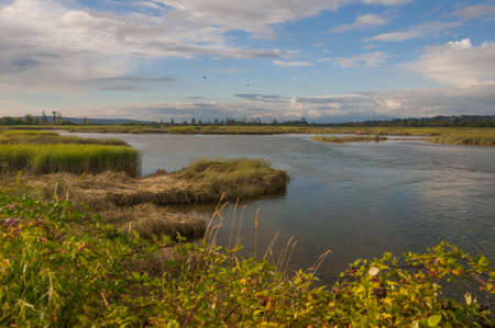 I have take this photo of lovely nature in the Spencer Island area (Everett, WA, USA)の写真素材