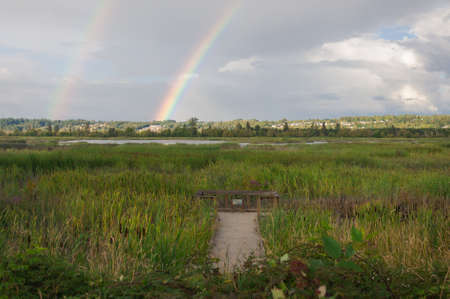 I have take this photo of lovely nature in the Spencer Island area (Everett, WA, USA)の写真素材