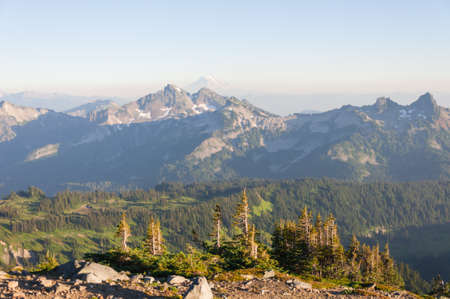 Nature view at Mount Rainier National Parkの写真素材