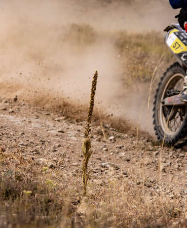 Enduro motorcycle as it passes through a desert areaの写真素材