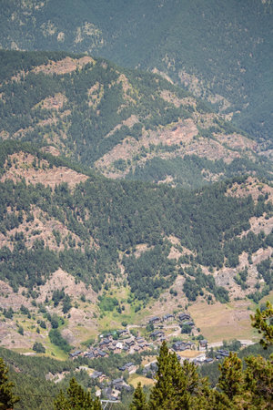 Butterflyの写真素材