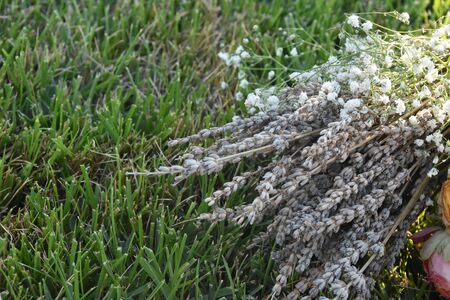 Violet lavender flowers bouquet laying on the green grass.Rustic wedding details. Bridal bouquet.の写真素材