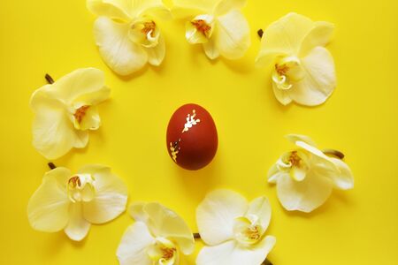 Easter red egg surrounded by orchid flowers on a yellow minimalist background. flat lay , top view,copy space の写真素材