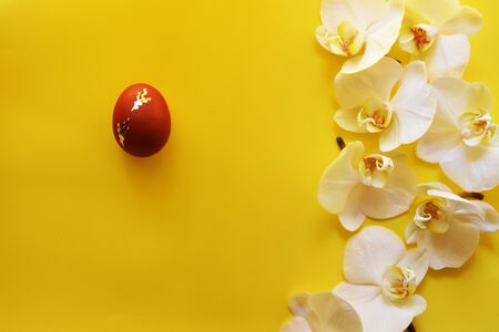 Easter red egg and orchid flowers on a yellow minimalist background. flat lay , top view,copy space の写真素材
