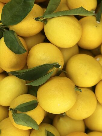Fresh lemons in market.Healthy food concept.Full frameの写真素材
