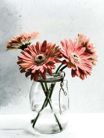 Bouquet of beautiful gerbera flowers in a glass vase.の写真素材