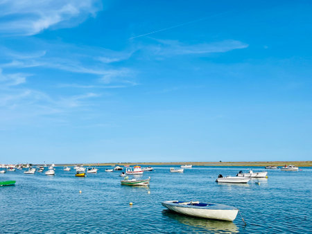 Canal de Tavira . Small boat cruising tranquil green river.の写真素材