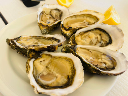 Fresh oysters and white wine on a wooden table, Algarve, Portugalの写真素材