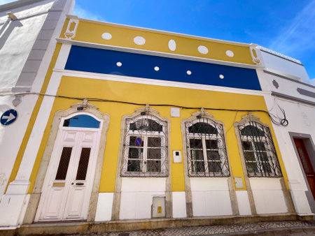 Traditional doors of the algarve taken viewed from the public street.の写真素材