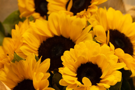 Beautiful bouquet of sunflowers Space for text.の写真素材