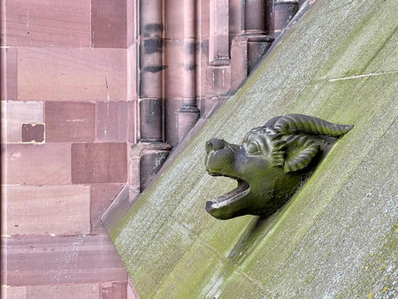 Panoramic view from the cathedral of Strasbourg. Alsace. France roof.の写真素材