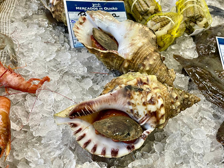 Close up sea food for sale at the market in Olhao, Algarve.