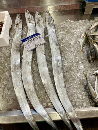 Close up sea food for sale at the market in Olhao, Algarve.