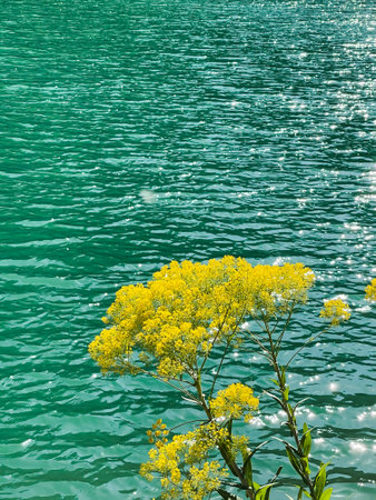 Peaceful landscape view of lake in Mat, Albaniaの写真素材