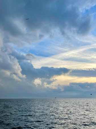 Seagulls flying over the Turkish Gulfの写真素材