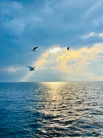 Seagulls flying over the Turkish Gulf in Izmir cityの写真素材