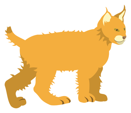 Orange catのイラスト素材