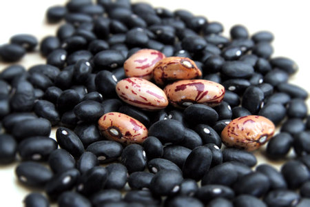 Black and red beans