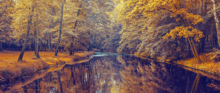autumn forest with a orange leaves and riverの写真素材
