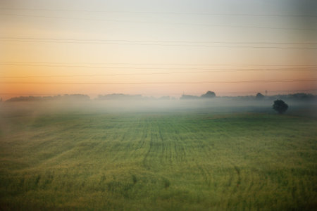 sunrise in the green field with fog and wires of power linesの写真素材