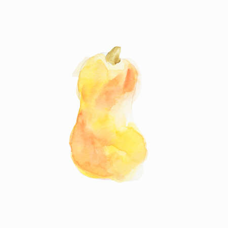 A pumpkin drawn in watercolors. Hand drawn illustration of vegetablesの写真素材