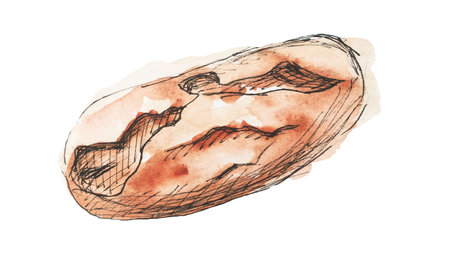 Watercolor illustration. Fresh bread with a crispy crustの写真素材