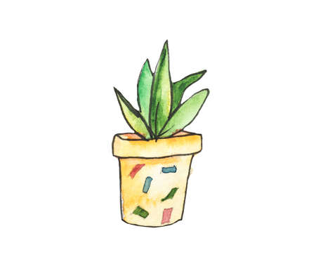 Watercolor drawing of a cactus in colorful pots isolated on a white backgroundの写真素材