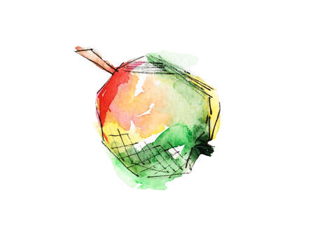 The Apple is hand-drawn in watercolor.の写真素材