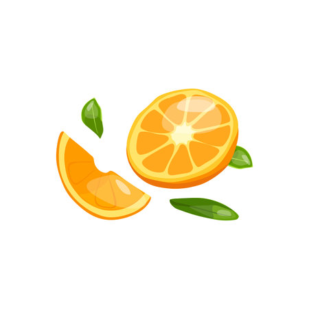 Vector illustration of a cut orange. Source of vitamin Cのイラスト素材