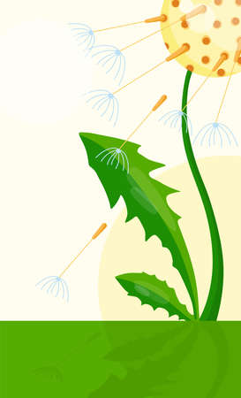 Vector cartoon illustration of a dandelion in a clearing with fluffy seeds developing in the wind.のイラスト素材
