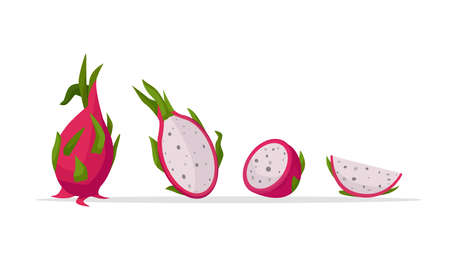 Tropical Mexican fruit for a healthy diet. dragonfruit. vector cartoon illustration.のイラスト素材