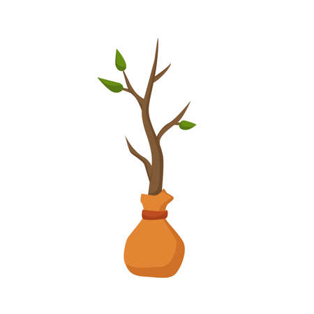 Tree seedling in a bag with earth. Vector cartoon illustrationのイラスト素材