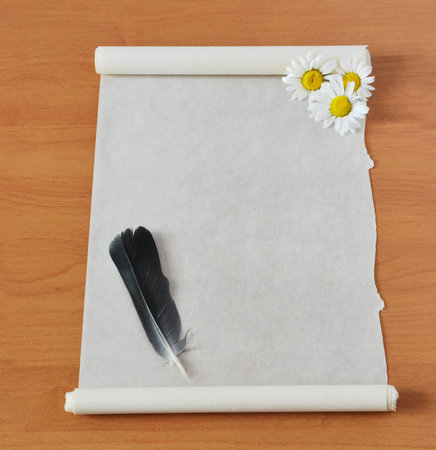 roll with a feather and camomiles lying on a table