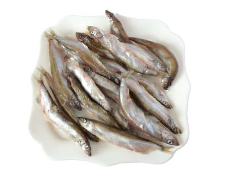 Fresh fish on plate on white backgroundの写真素材