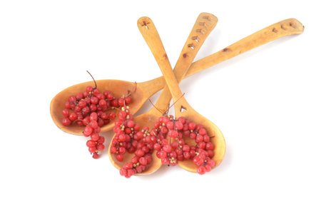 wooden spoons and berry mountain ashの写真素材