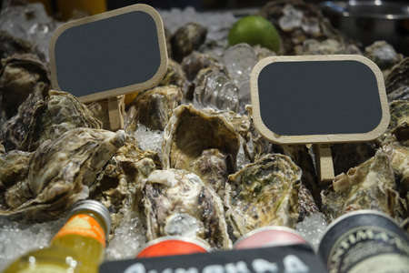 Fresh Atlantic oysters on the store counterの写真素材