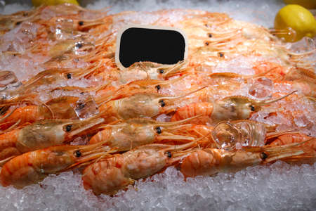Fresh shrimp in a shop window in the iceの写真素材