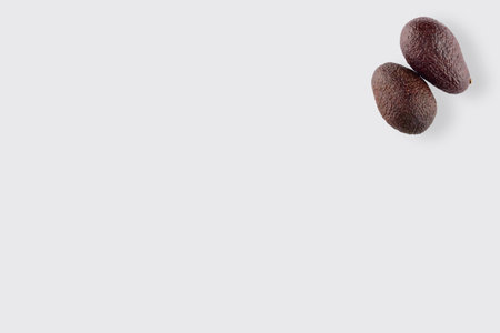 two Australian Hass avocado close up corner of the upper right corner of the white background