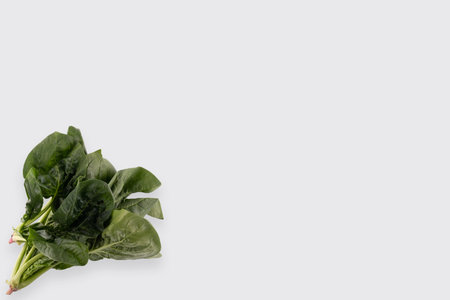 green leaves of spinach isolated on white background
