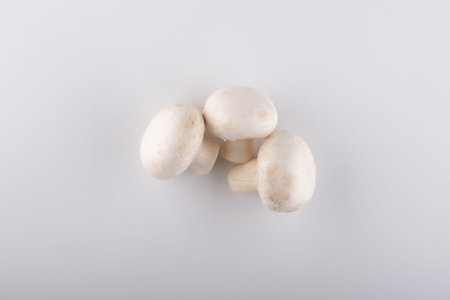 fresh champignon close-up on a white background