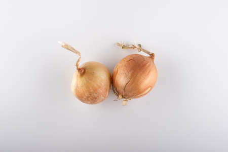 fresh white onion heads on a white background close-upの写真素材