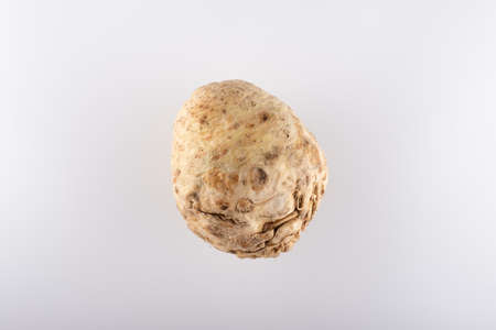 celery root close-up on a white background hollandの写真素材