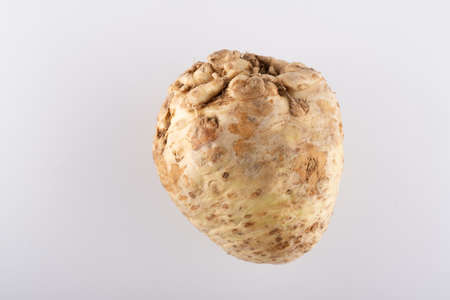 celery root close-up on a white background hollandの写真素材