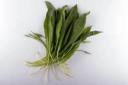fresh ramson isolated on white background close-upの写真素材