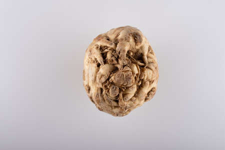 celery root close-up on a white background hollandの写真素材
