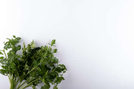 fresh bunch of parsley closeup on a white backgroundの写真素材